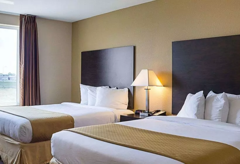 ホテル Quality Inn & Suites