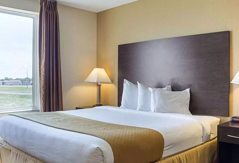 ホテル Quality Inn & Suites