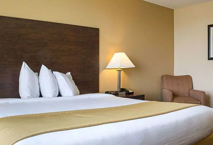 ホテル Quality Inn & Suites