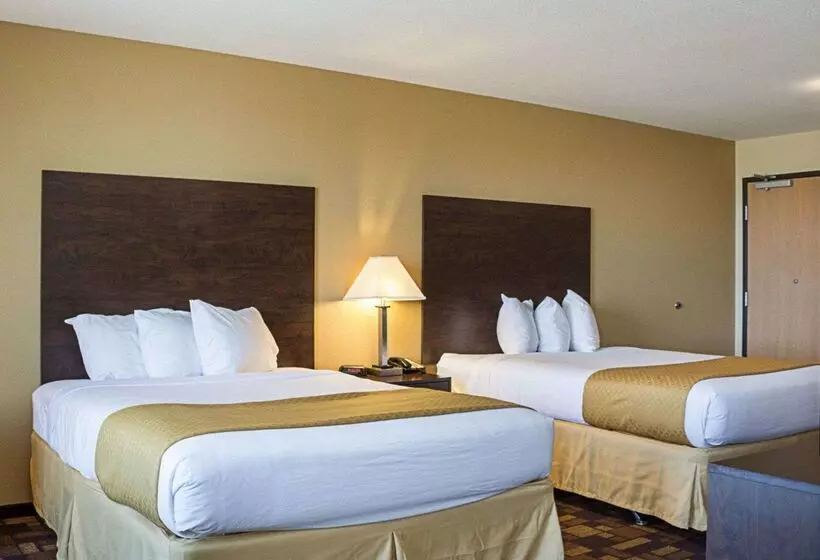 ホテル Quality Inn & Suites