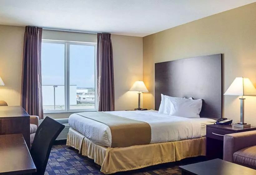 ホテル Quality Inn & Suites