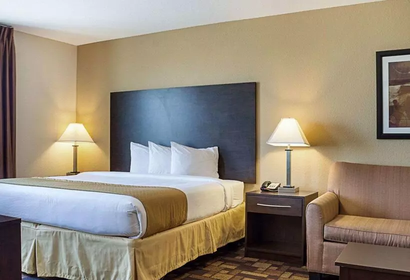 ホテル Quality Inn & Suites
