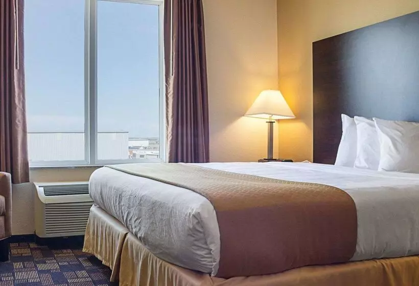 ホテル Quality Inn & Suites