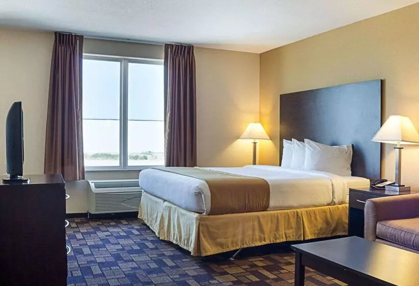 ホテル Quality Inn & Suites