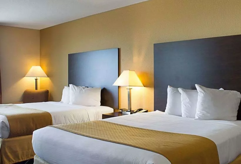 ホテル Quality Inn & Suites