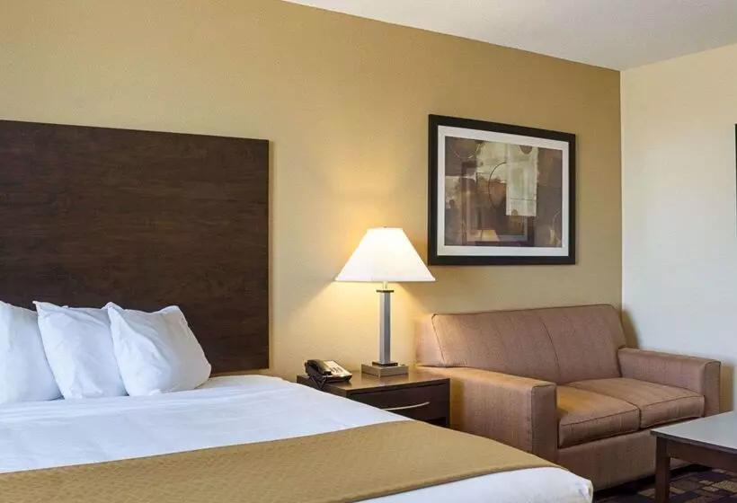 ホテル Quality Inn & Suites