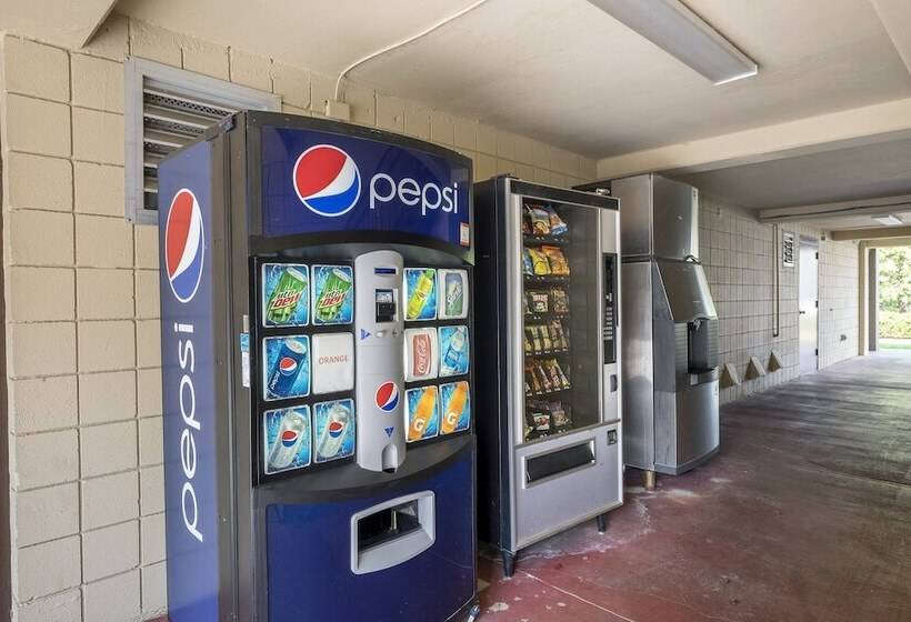 בית מלון כפרי Red Roof Inn Rock Hill