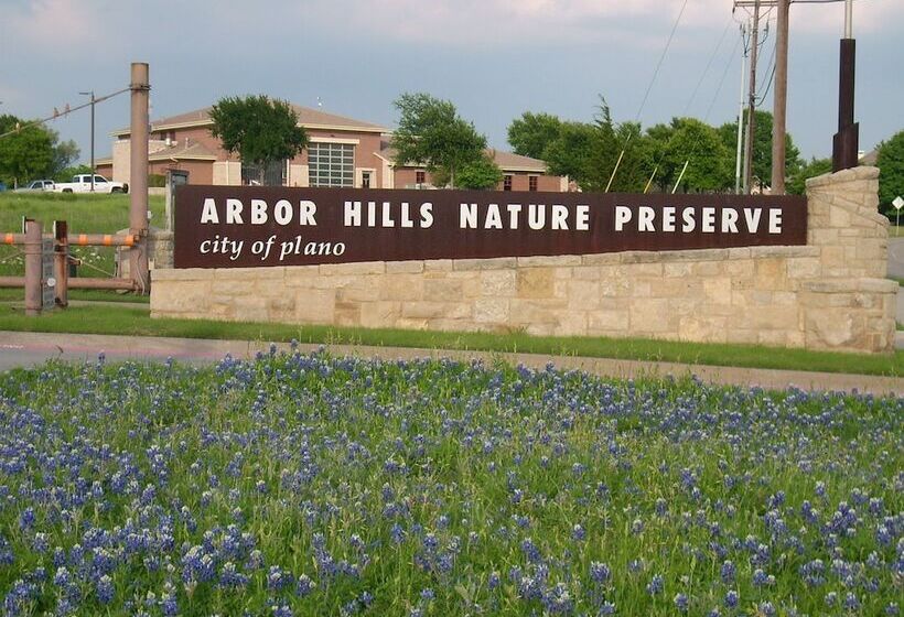 酒店 The One Boutique