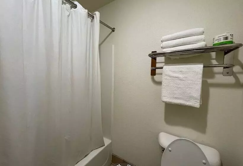 酒店 Wamego Inn And Suites