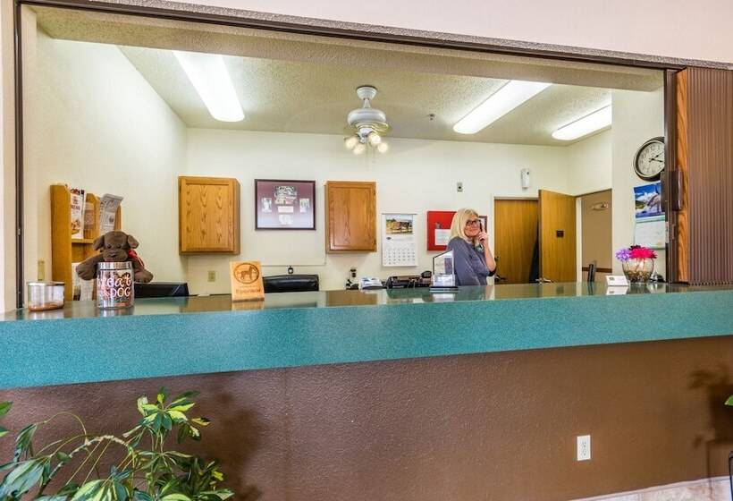 酒店 Wamego Inn And Suites