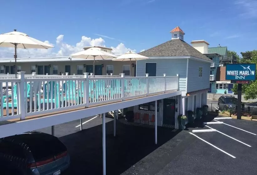モーテル White Marlin Inn