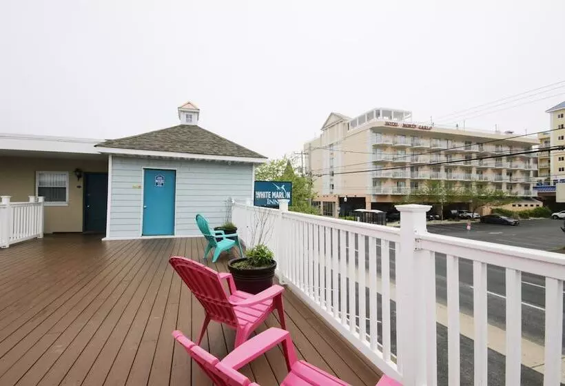 モーテル White Marlin Inn