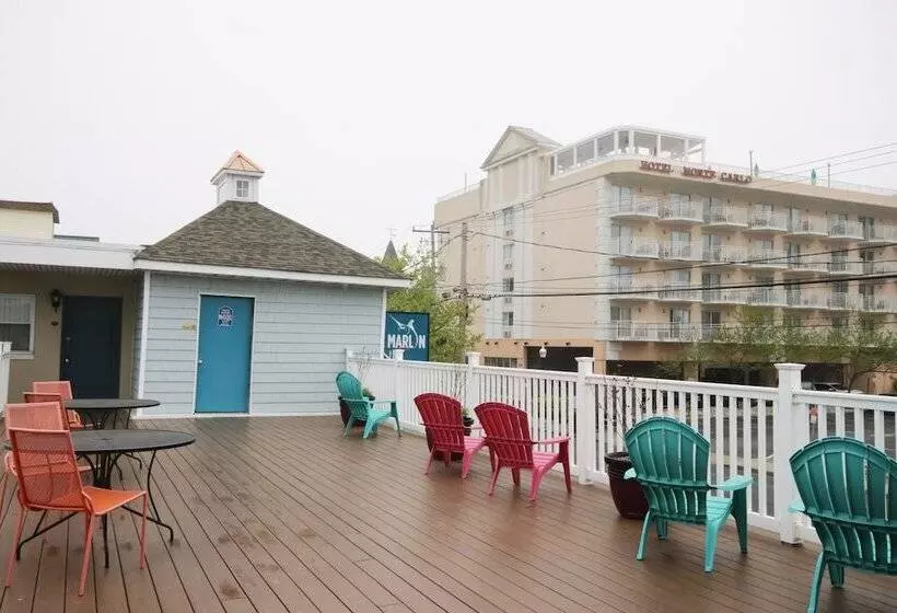 モーテル White Marlin Inn