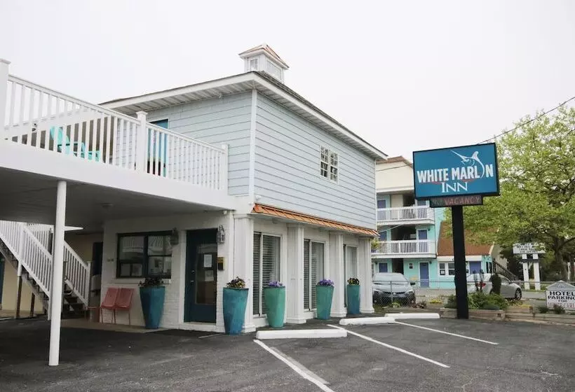 モーテル White Marlin Inn