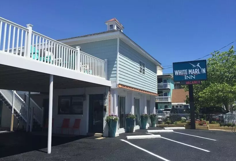 モーテル White Marlin Inn