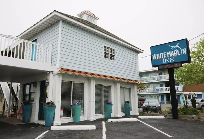 モーテル White Marlin Inn