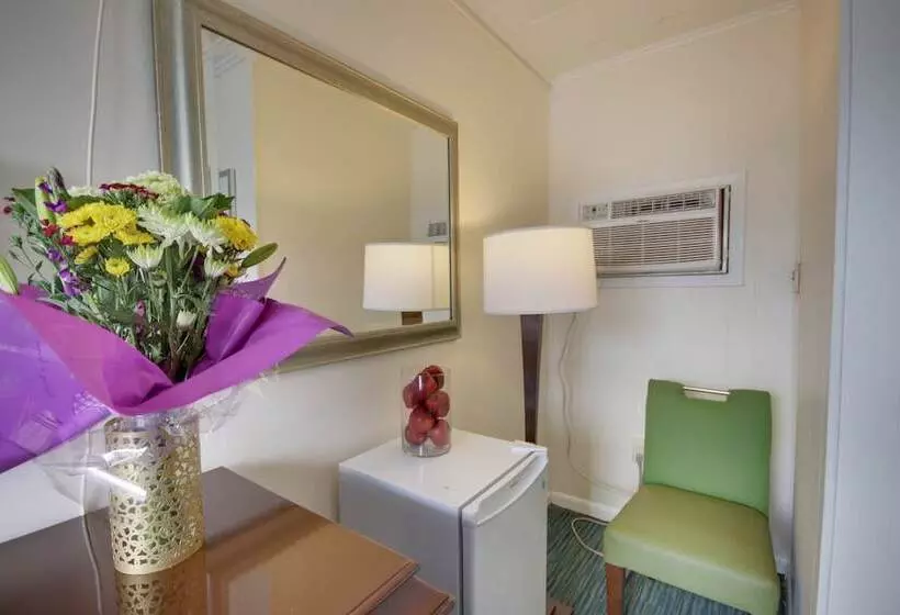 モーテル White Marlin Inn