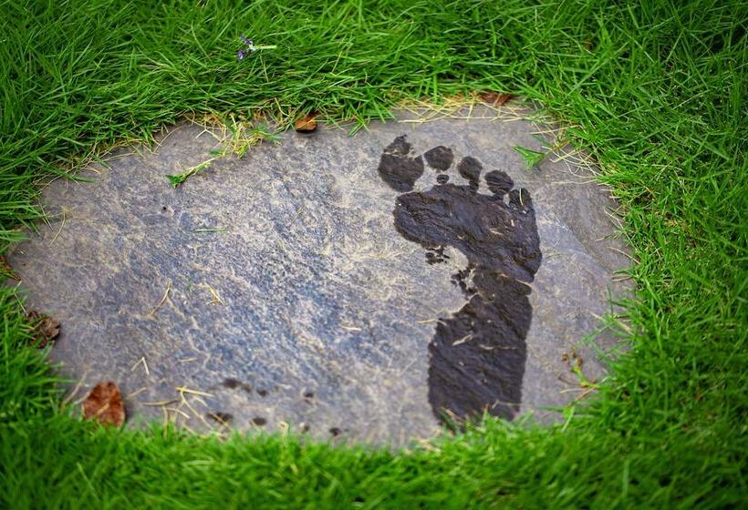 هتل Viet Xua Homestay