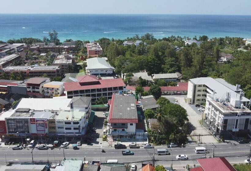 Palmetto Condominium