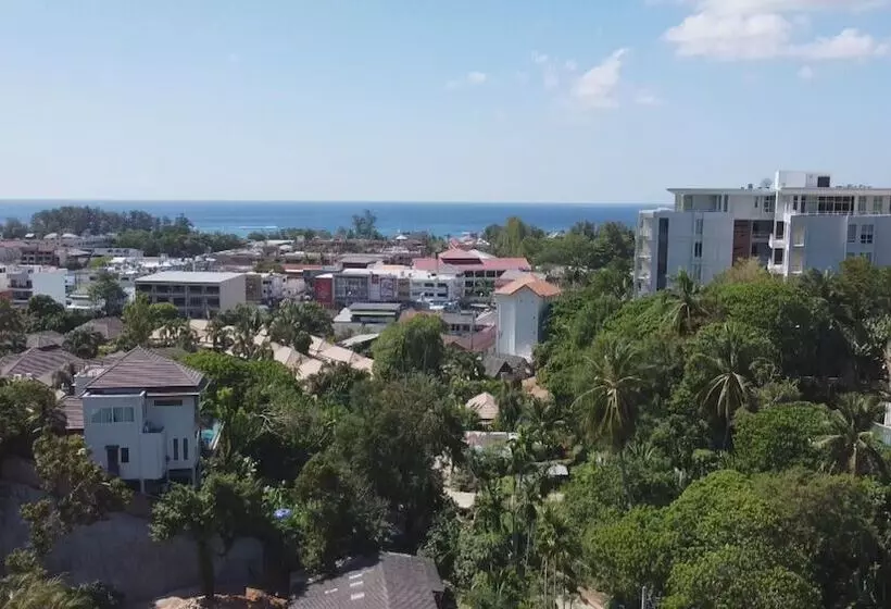 Palmetto Condominium