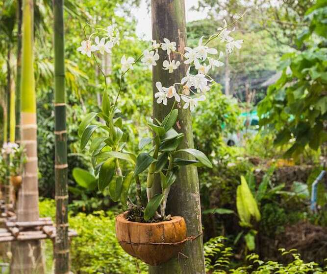 Palmetto Condominium