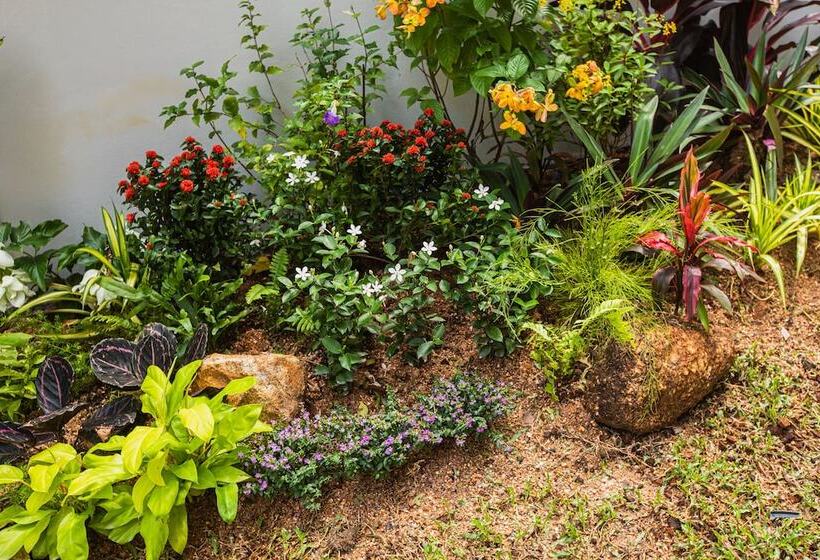 Palmetto Condominium