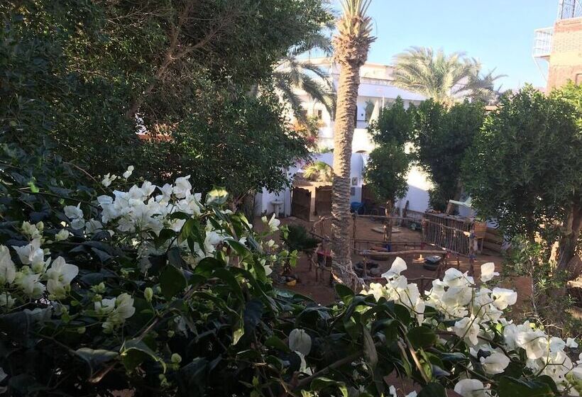 هاستل Sunrise Dahab Camp