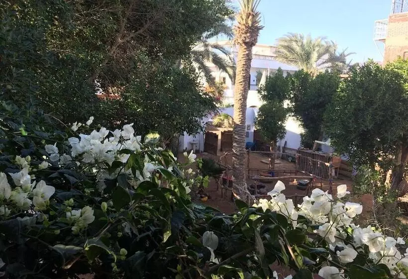 هاستل Sunrise Dahab Camp