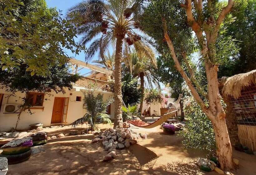 هاستل Sunrise Dahab Camp