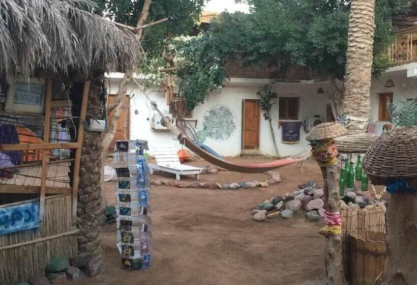 هاستل Sunrise Dahab Camp