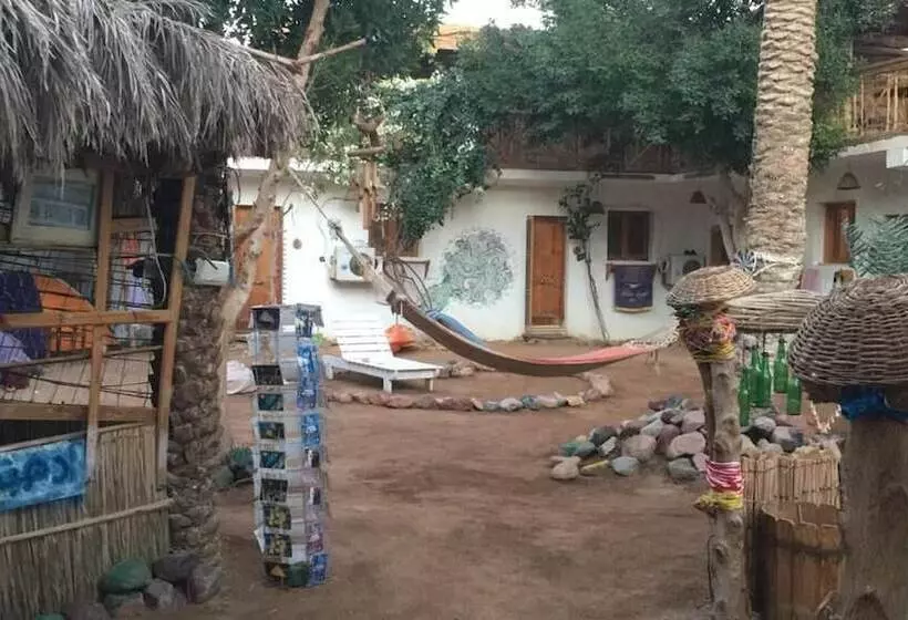 هاستل Sunrise Dahab Camp