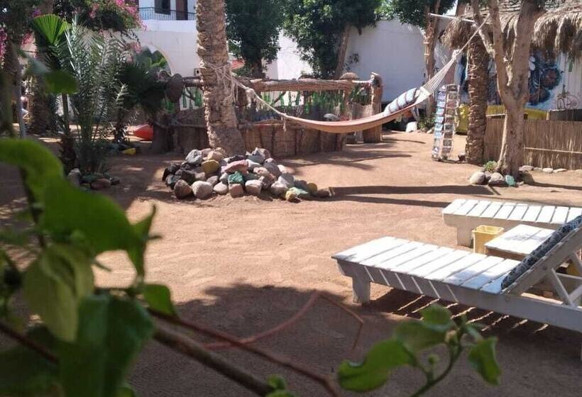 هاستل Sunrise Dahab Camp