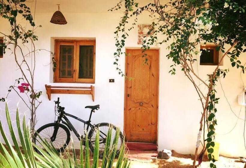 هاستل Sunrise Dahab Camp