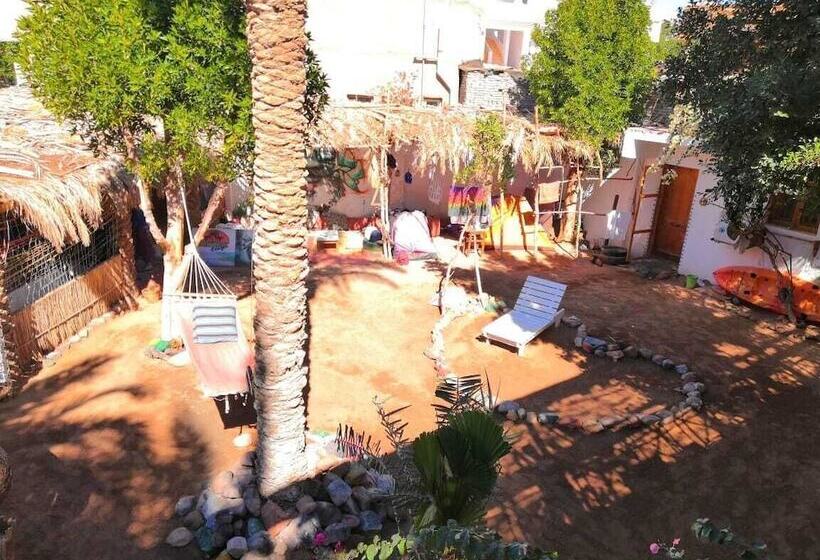 هاستل Sunrise Dahab Camp