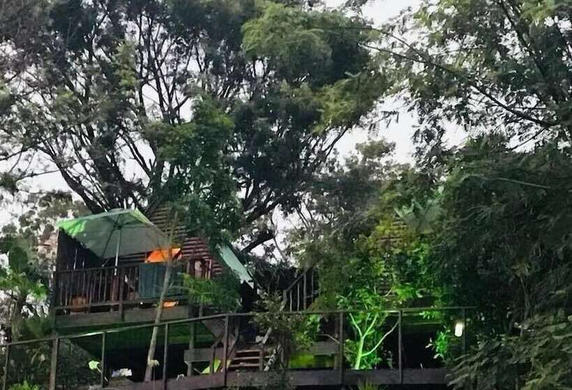 Knysna Lodge Self Catering Accommodation