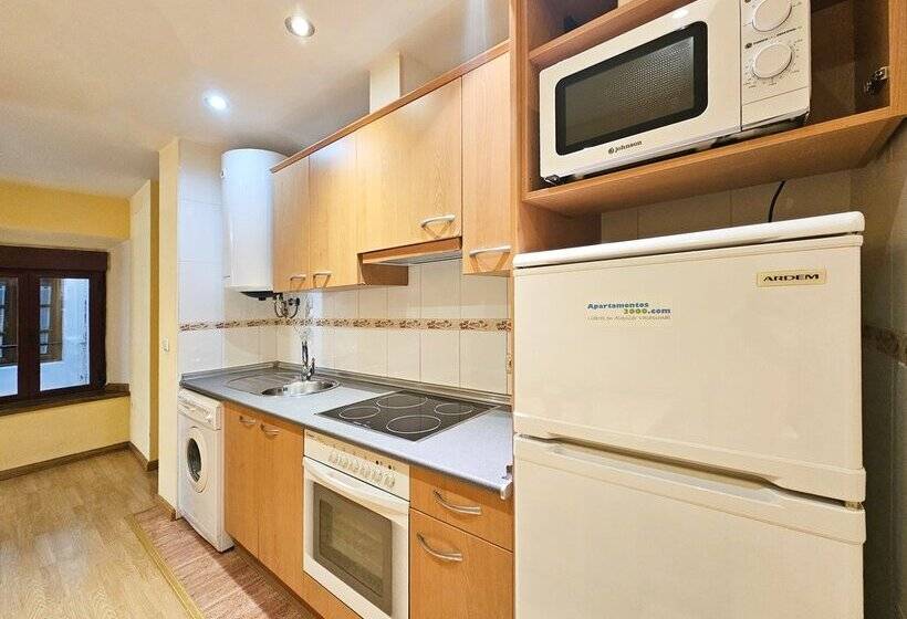 Apartamentos Canfranc 3000