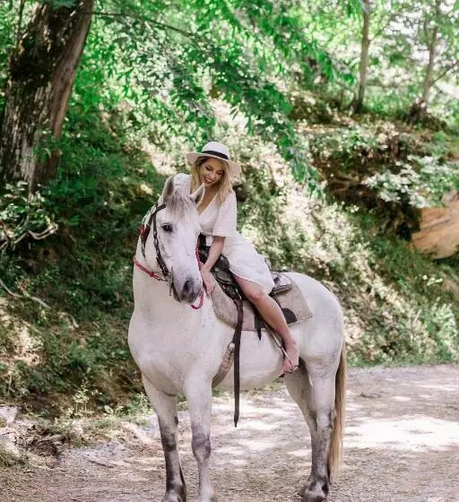 酒店 12 Months Resort & Spa