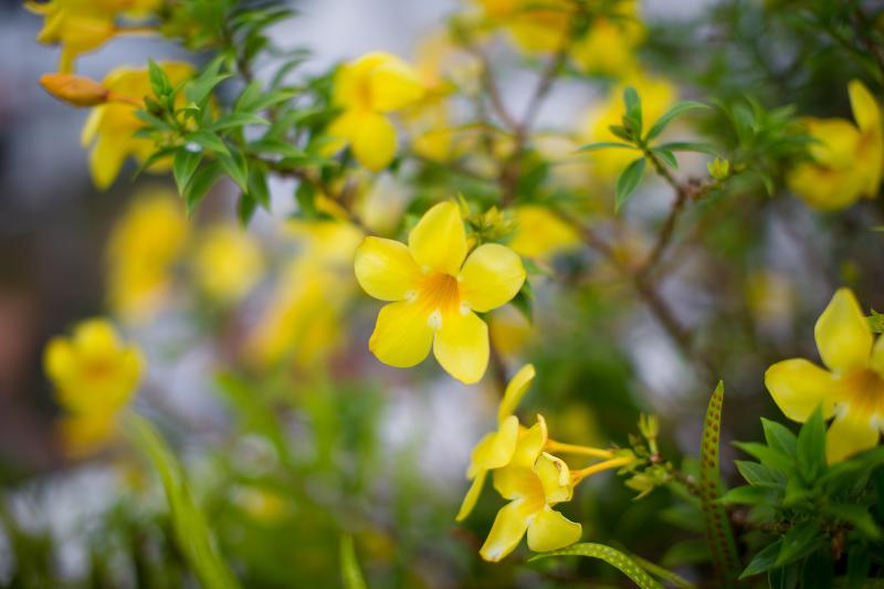 ホテル Aiyara Grand