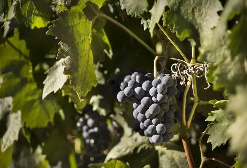 호텔 Eguren Ugarte