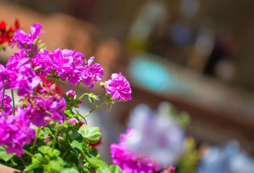 هتل Pegasus Adult Friendly