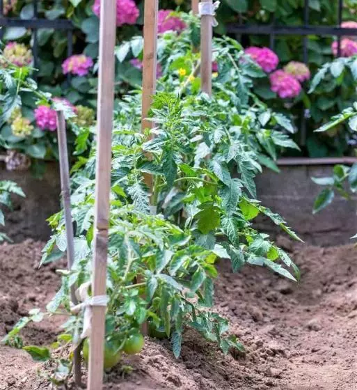 هتل Pegasus Adult Friendly