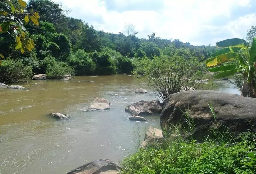 호텔 Rain Forest Resort