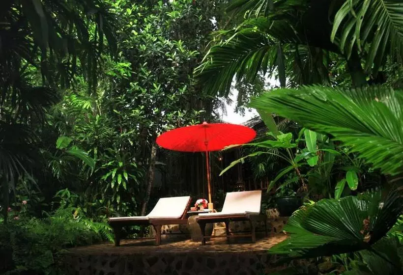 호텔 Rain Forest Resort