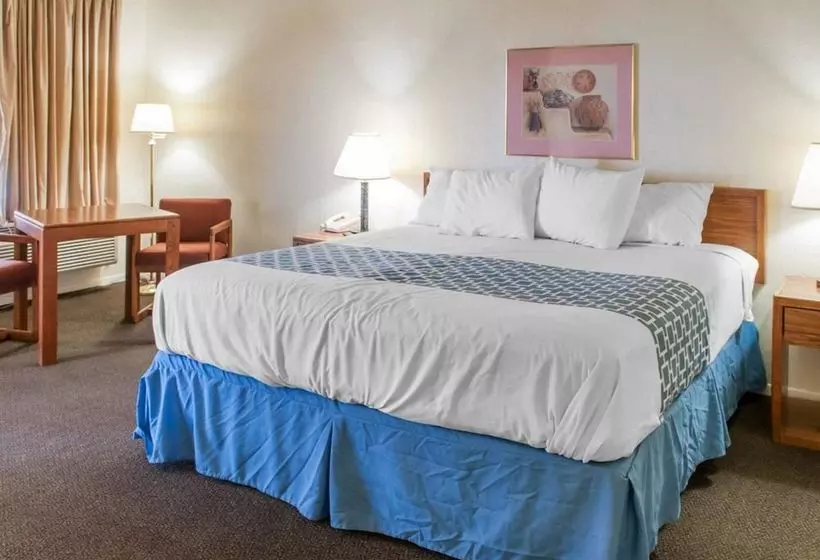 酒店 Rodeway Inn Whites City