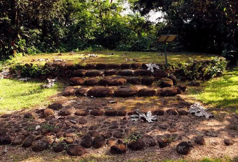 בית מלון כפרי Sarapiquis Rainforest Lodge