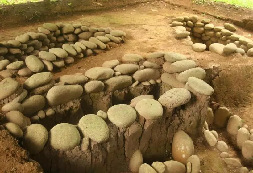 בית מלון כפרי Sarapiquis Rainforest Lodge