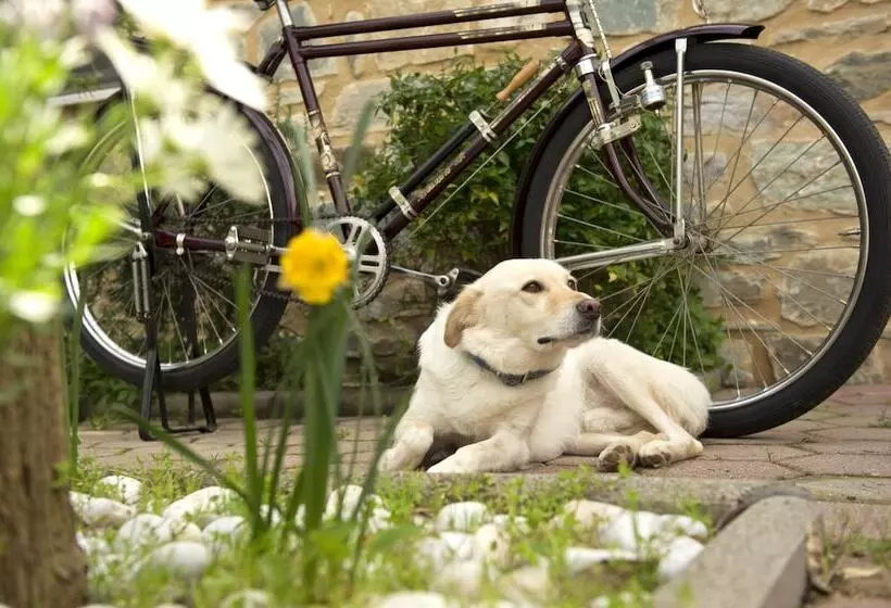 酒店 Taleton Eco Guest House