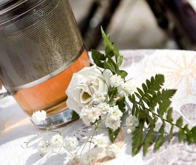 ホテル Taleton Eco Guest House