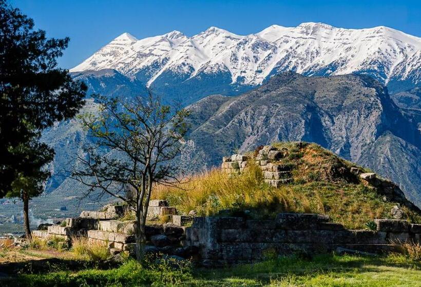 ホテル Taleton Eco Guest House