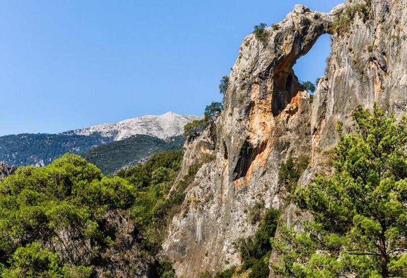 ホテル Taleton Eco Guest House